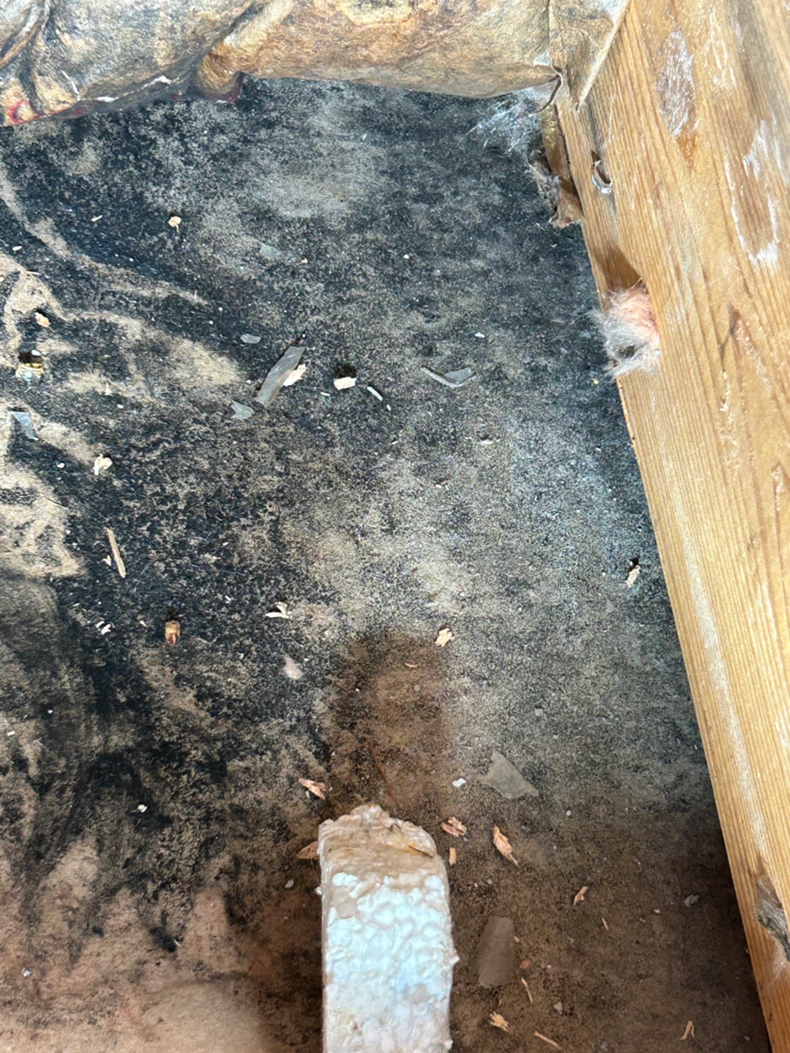 Dark mold staining across the sheathing and framing in a concealed area of an Easton, CT home