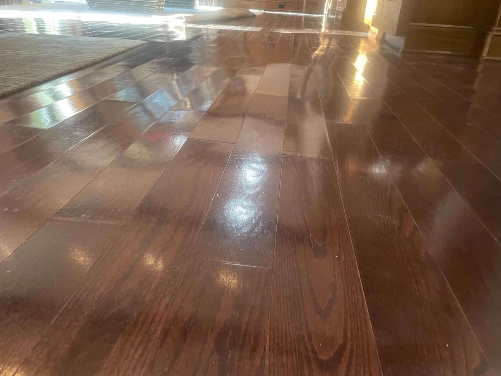 Water Damage Restoration documented in a Greenwich, CT residence
