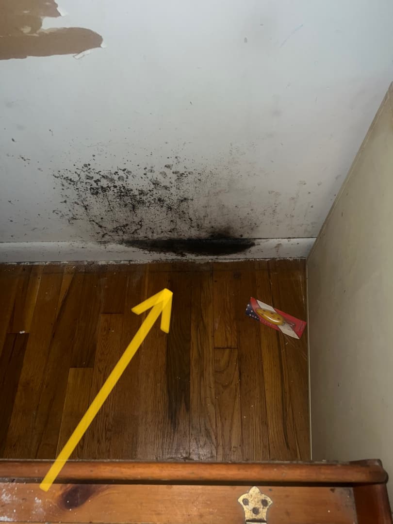 Black mold on a Redding, CT bedroom ceiling with professional moisture inspection, before