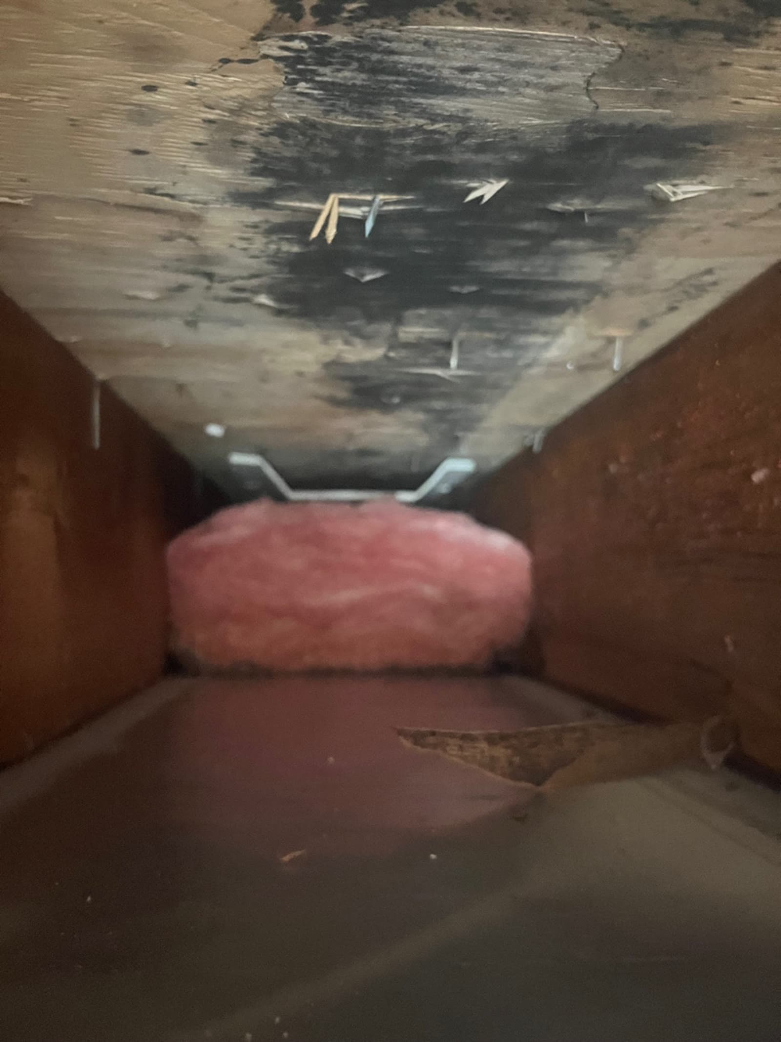 Black mold growth on the underside of the subfloor in a joist bay of a Ridgefield, CT crawl space, before