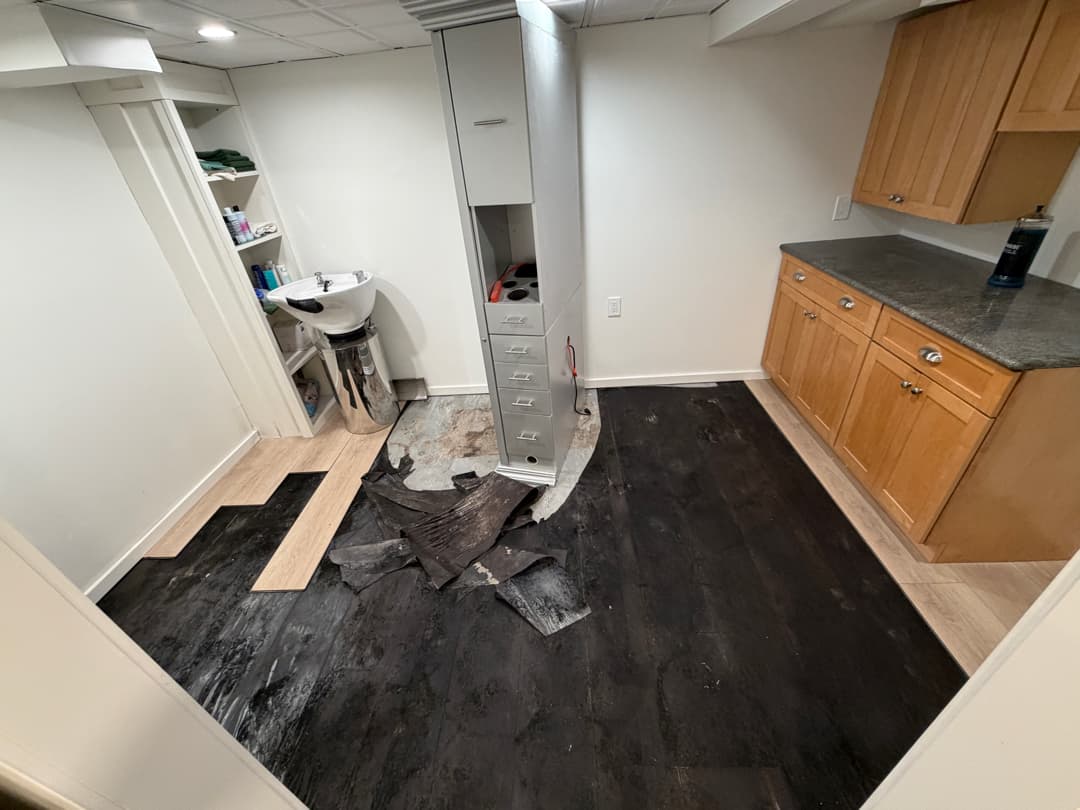 Basement mold and moisture remediation with flooring removed in a Stratford, CT home, before
