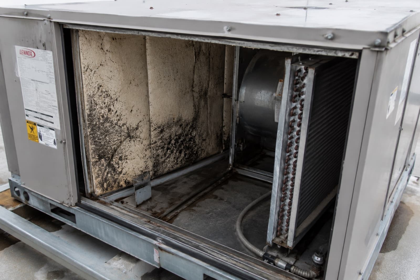 Opened HVAC coil cabinet showing dust and microbial buildup on the filter and coil, the kind of allergen source Green Restoration cleans during indoor air quality treatment in the tri-state