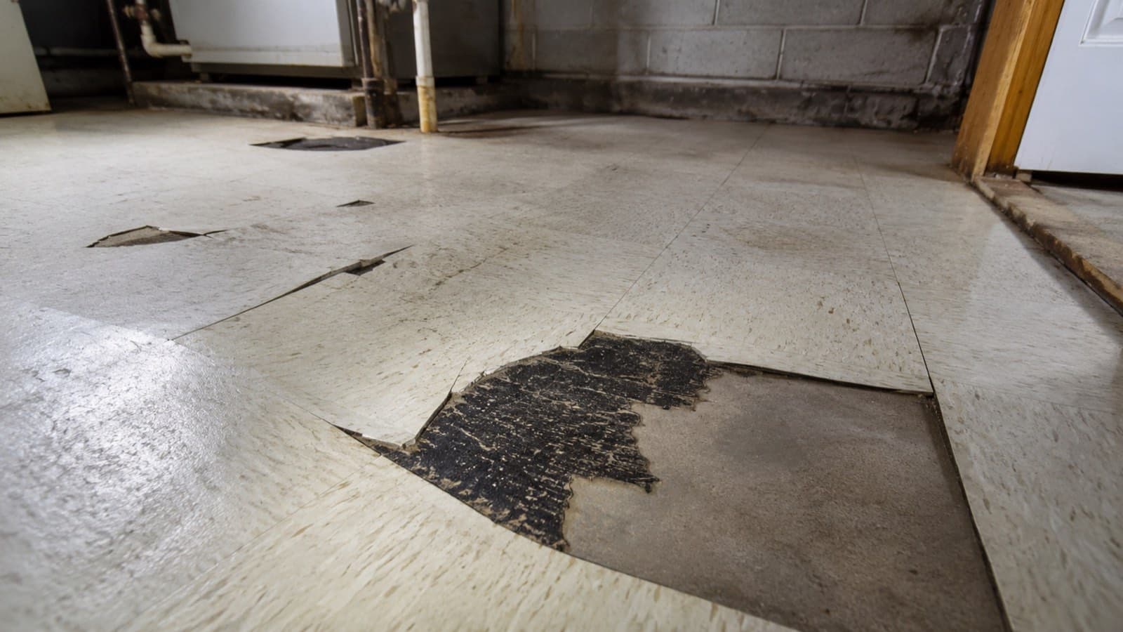Vinyl floor tiles lifted away from a basement concrete slab, exposing black cutback mastic adhesive underneath