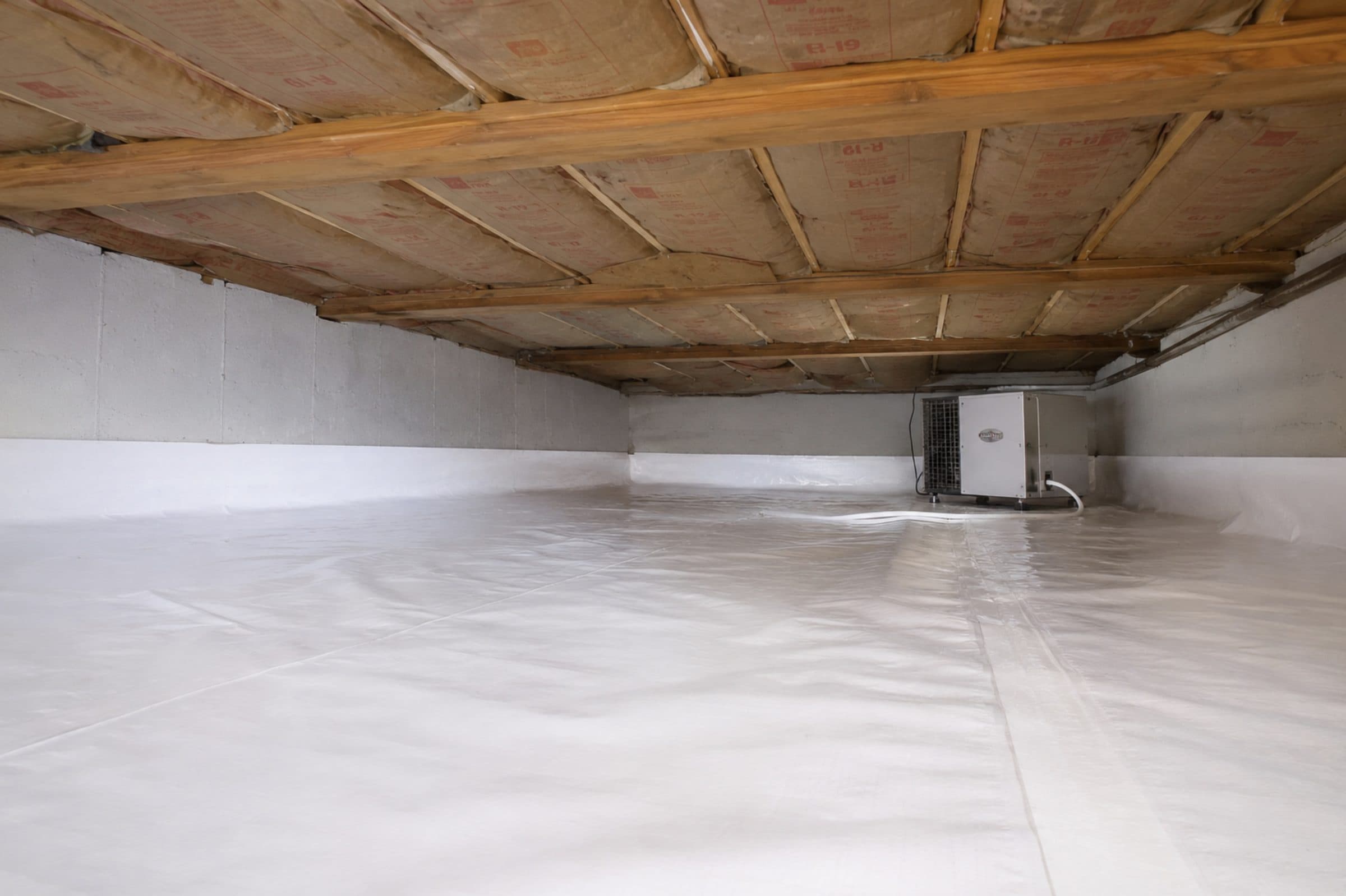 Encapsulated crawl space with white vapor barrier, R-19 batt insulation, and commercial dehumidifier in a Ansonia CT home