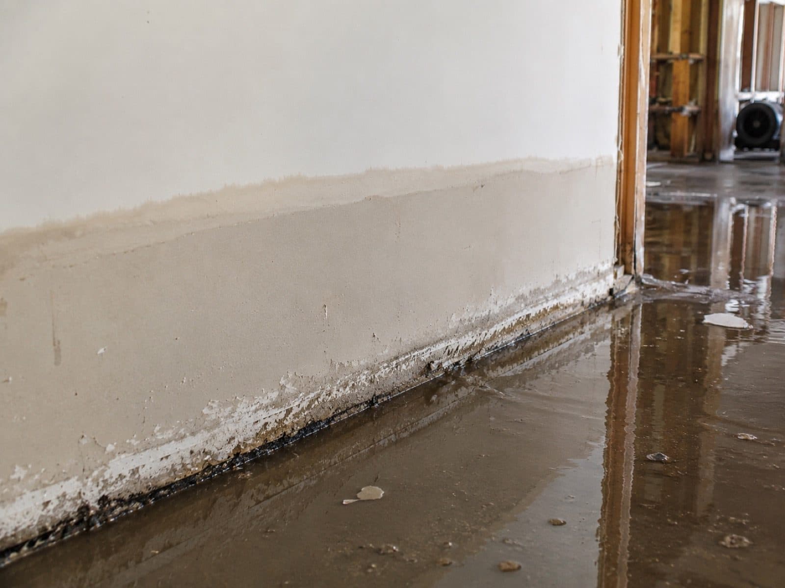 Flood-damaged interior with a horizontal high-water mark on the wall, standing water on the floor, and an air mover staged for structural drying, typical of a Category 2 to 3 flood loss