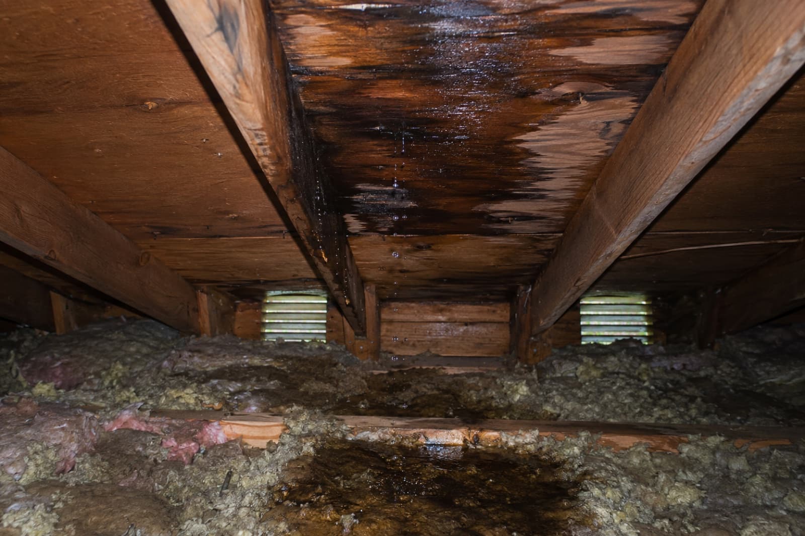 Water-stained and saturated attic sheathing and framing above wet insulation from a roof leak
