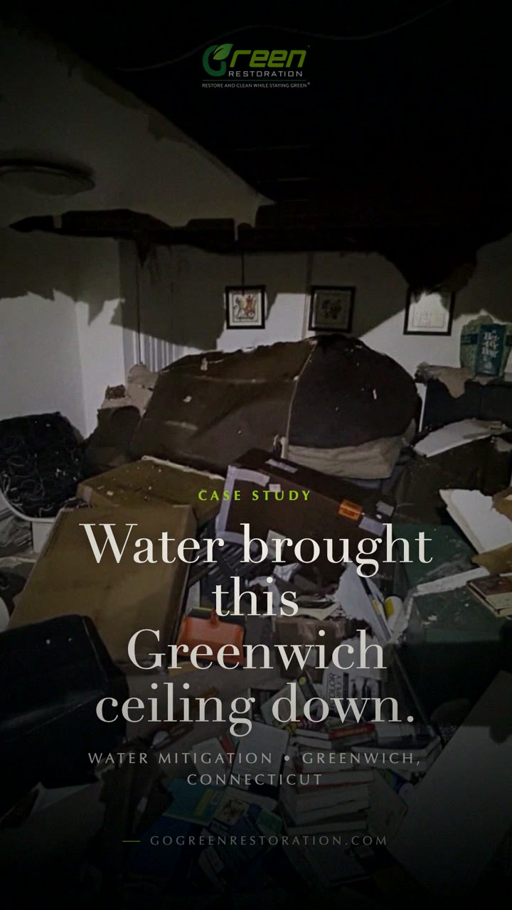 Watch a Real Greenwich Water Mitigation Job