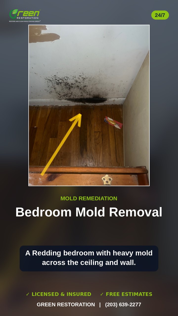 Watch a Real Redding Mold Remediation Job