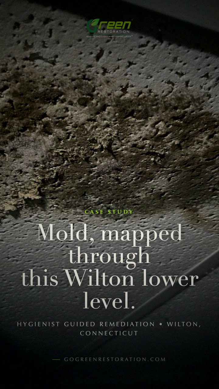 Watch a Real Wilton Mold Remediation Job