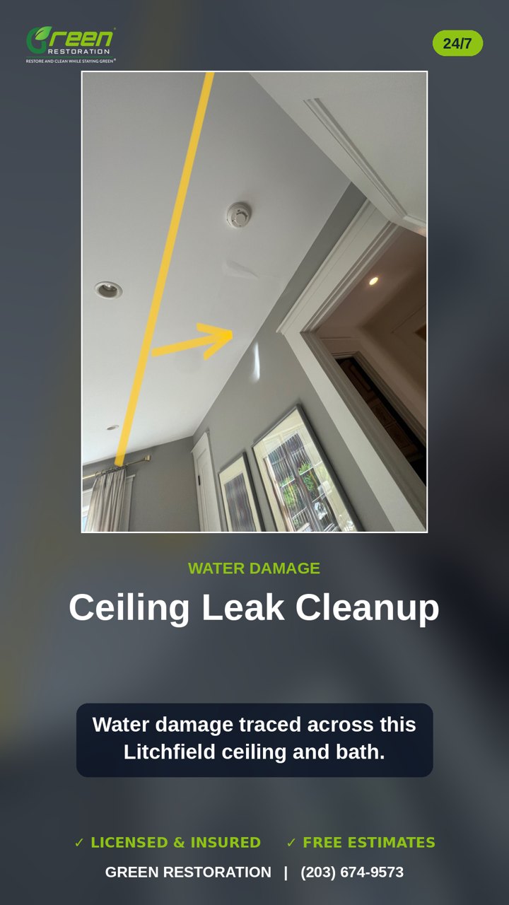 Litchfield: Hidden Ceiling Leak Traced And Dried